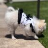 Pixie Polka Harness Dress - Image 5