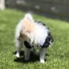 Pixie Polka Harness Dress - Image 4