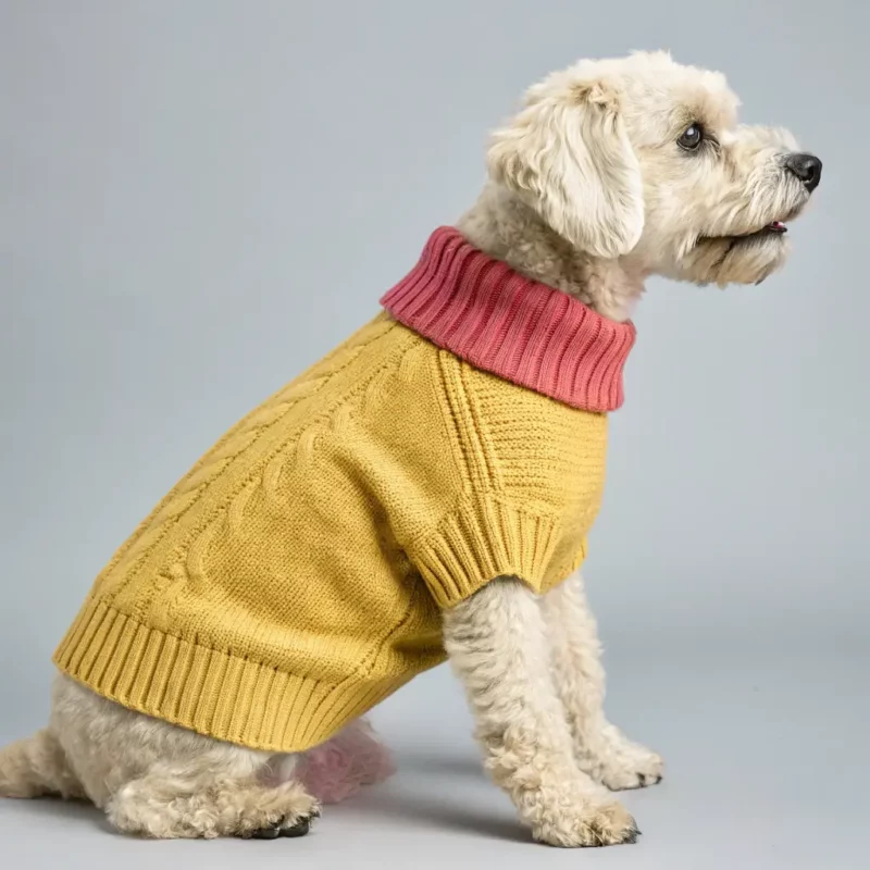 Stylish Sweater for Small Dogs